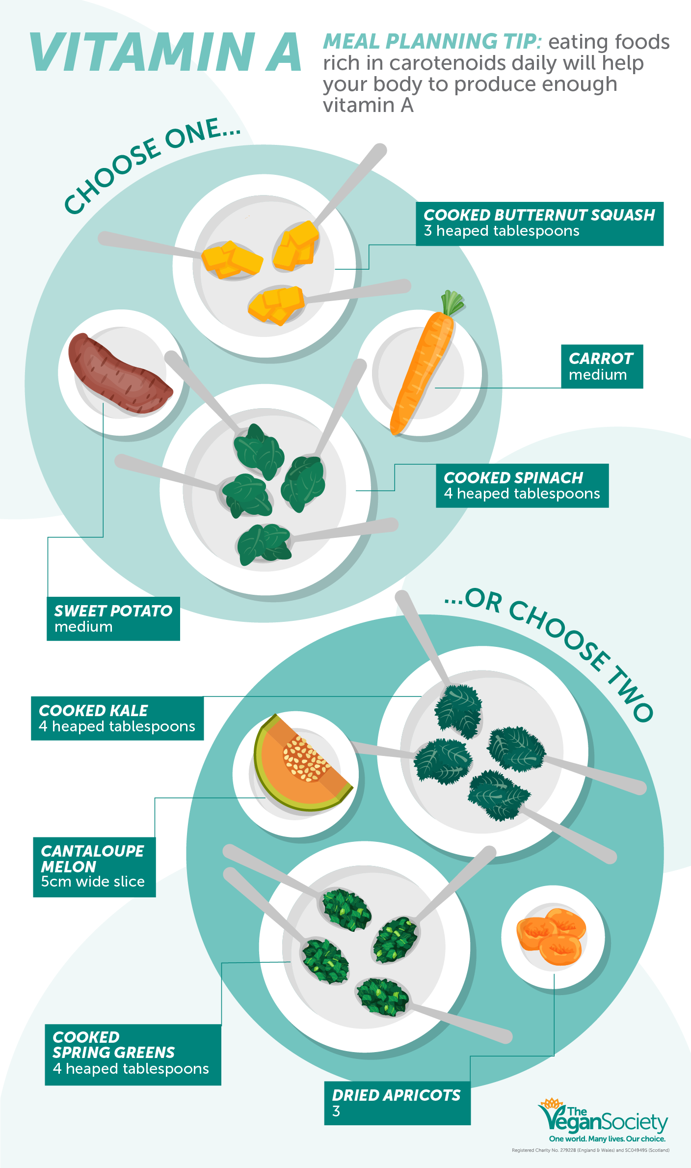 This is a B12 infographic