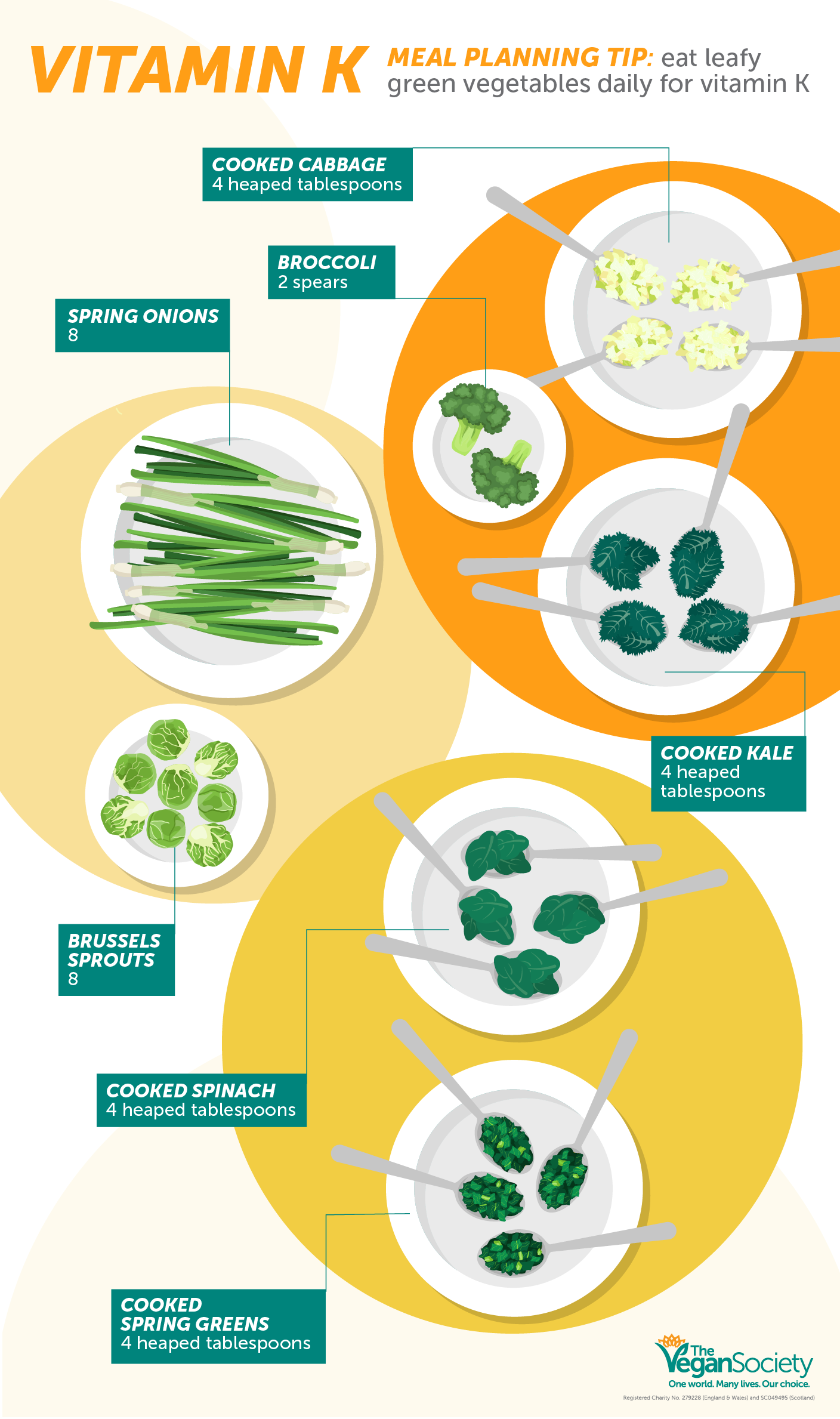 This is a B12 infographic