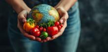 Person holding globe with an assortment of vegetables