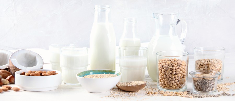 Variety of plant milks and ingredients