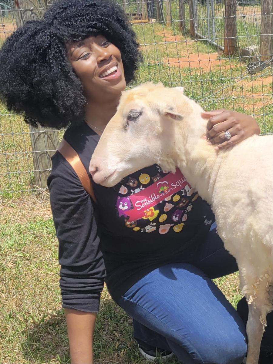 Tabatha James with sheep at an animal sanctuary