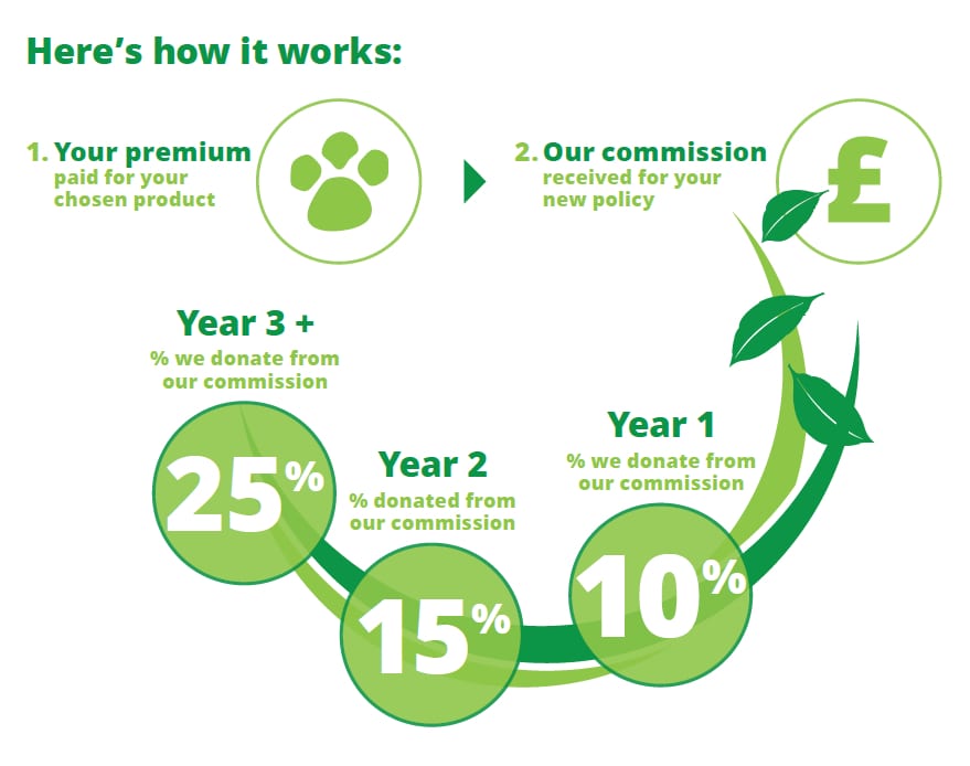 Evergreen insurances infographic