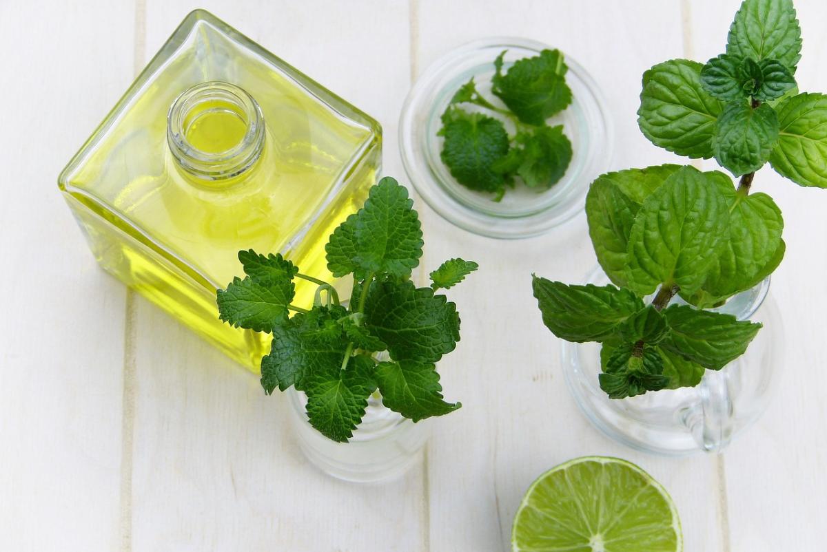 Mint leaf and essential oils on a plain white table